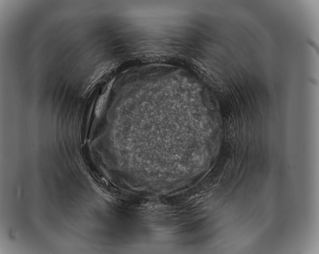 X0000091000742200708301334