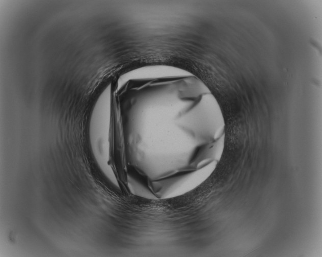 X0000091000743200708301334