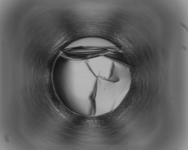 X0000091000744200708301334