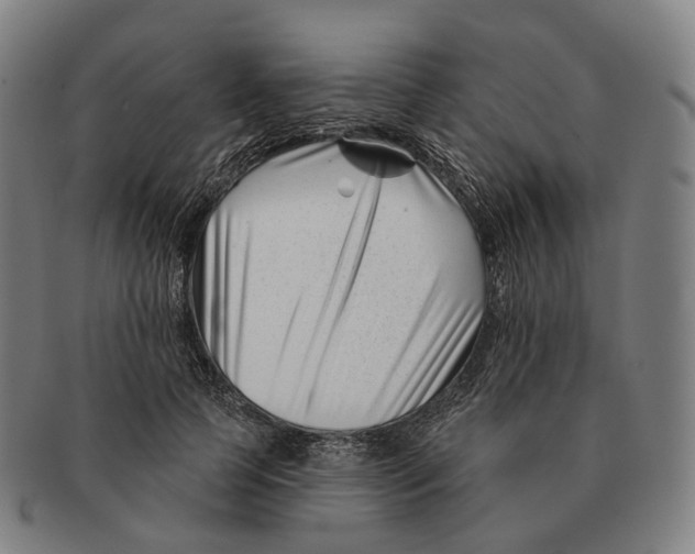 X0000091000745200708301334