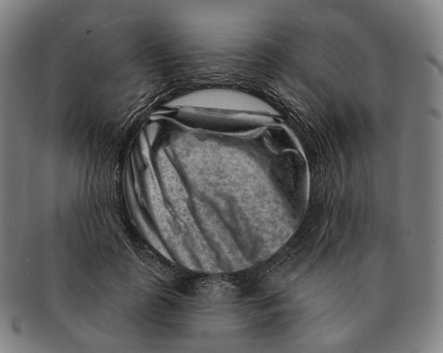X0000091000747200708301334