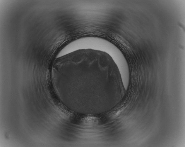 X0000091000748200708301334