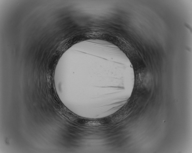 X0000091000749200708301334