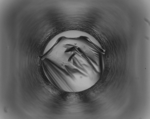 X0000091000750200708301334