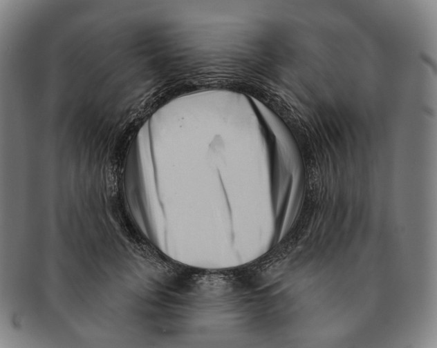 X0000091000751200708301334