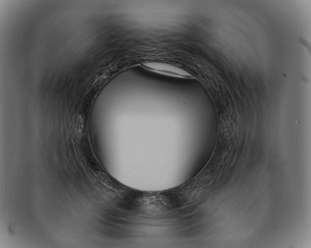 X0000091000752200708301334