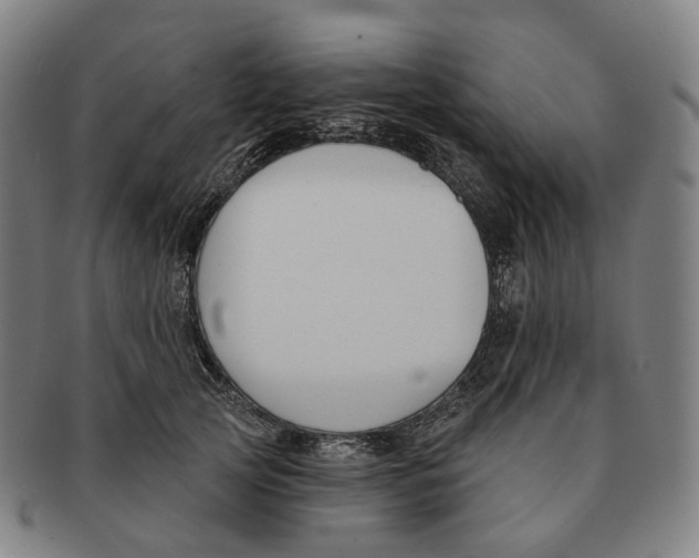 X0000091000753200708301334