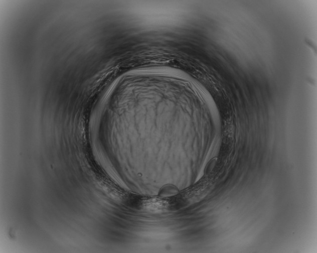 X0000091000754200708301334