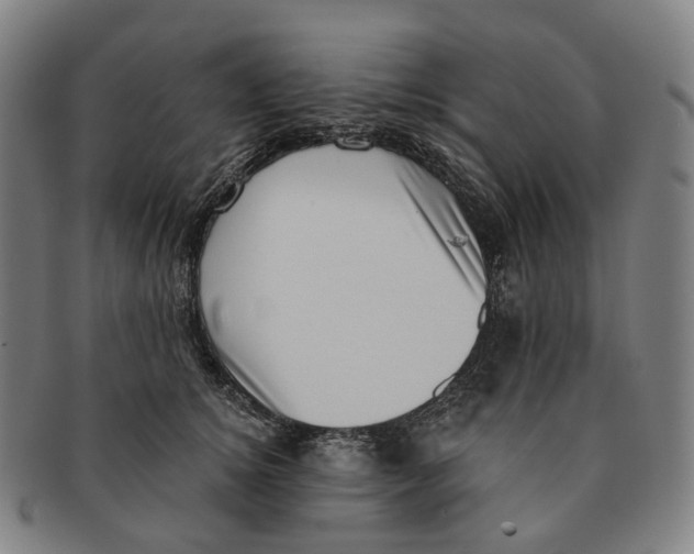 X0000091000756200708301334