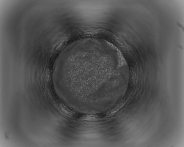 X0000091000758200708301334