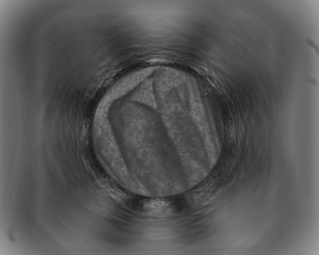 X0000091000759200708301334