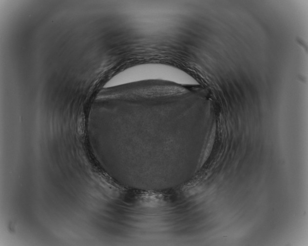 X0000091000760200708301334