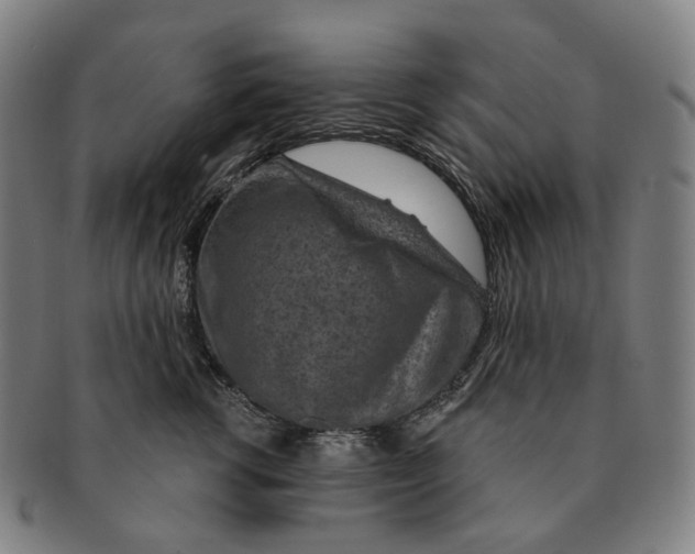 X0000091000762200708301334