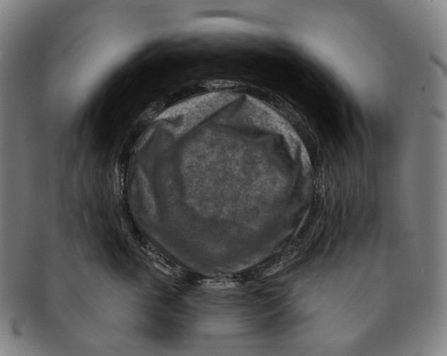 X0000091000763200708301334