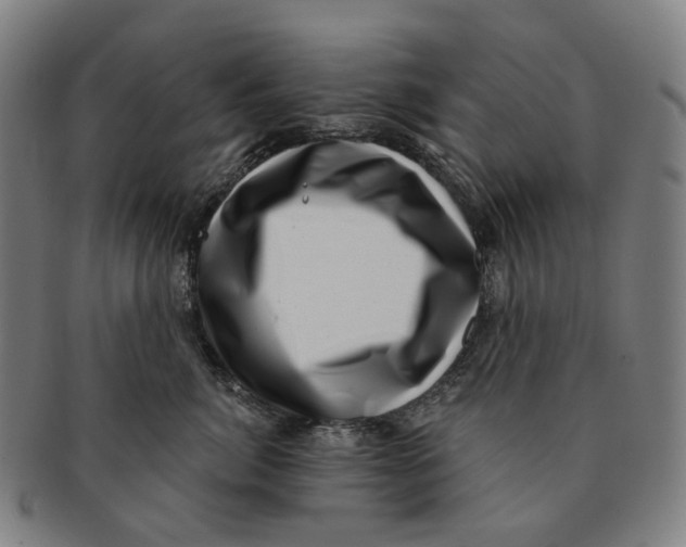 X0000091000764200708301334