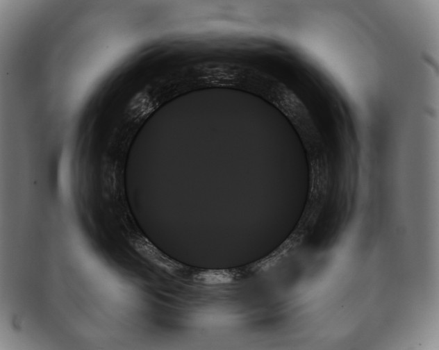 X0000091000765200708301335
