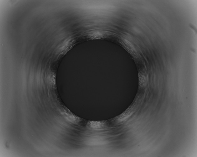 X0000091000766200708301335