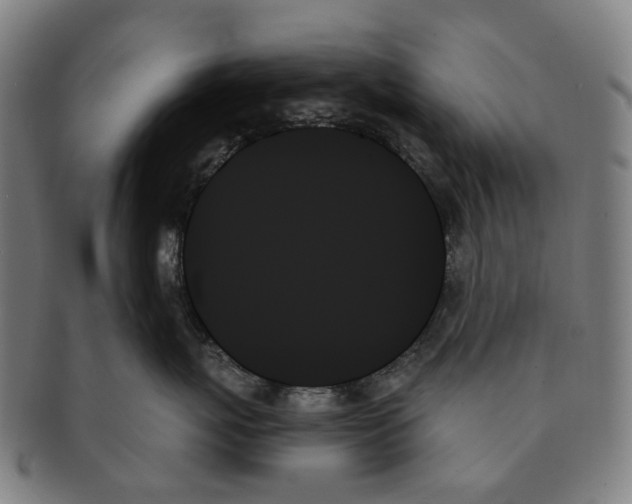 X0000091000767200708301335