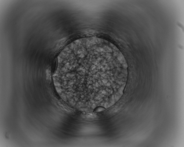 X0000091000768200708301335