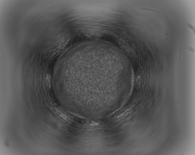 X0000091000772200708301334