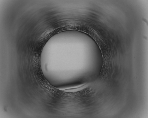 X0000091000773200708301334