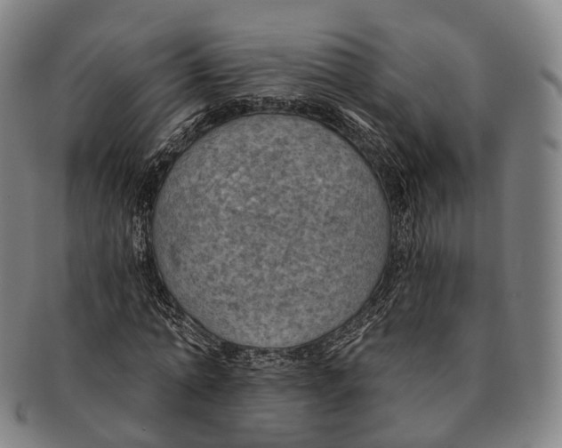 X0000091000774200708301334