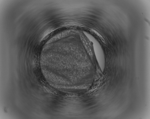 X0000091000775200708301334
