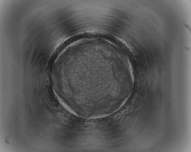 X0000091000776200708301334