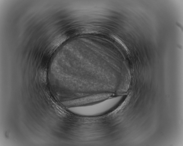 X0000091000777200708301334