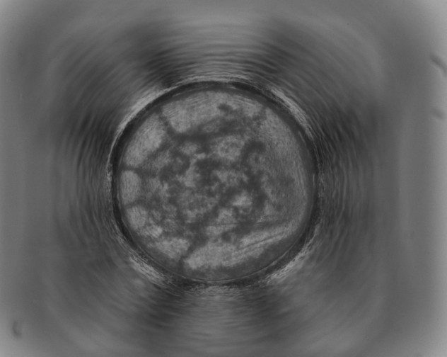 X0000091000779200708301334