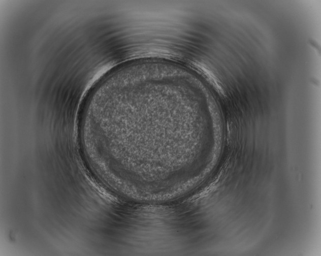 X0000091000780200708301334