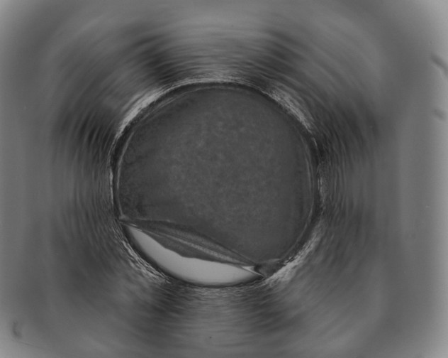X0000091000781200708301334