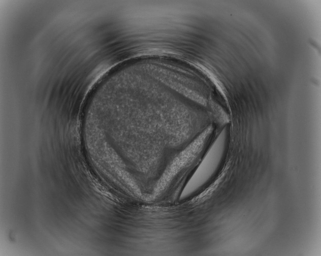 X0000091000783200708301334