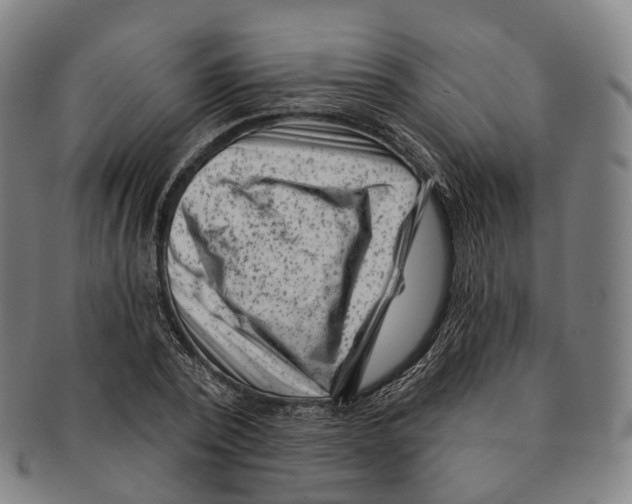 X0000091000784200708301334