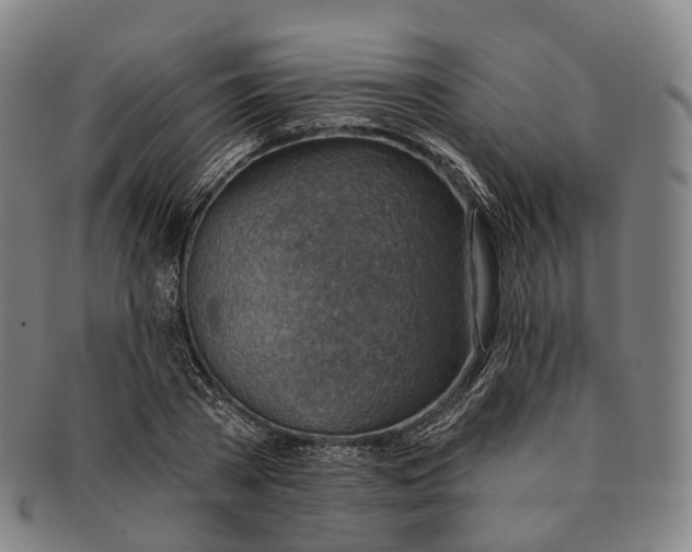 X0000091000785200708301334