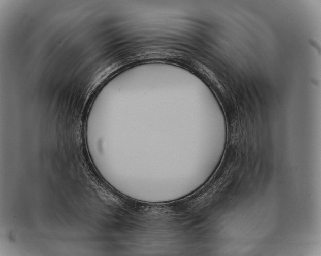 X0000091000786200708301334