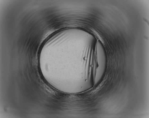 X0000091000787200708301334