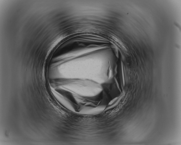 X0000091000788200708301334