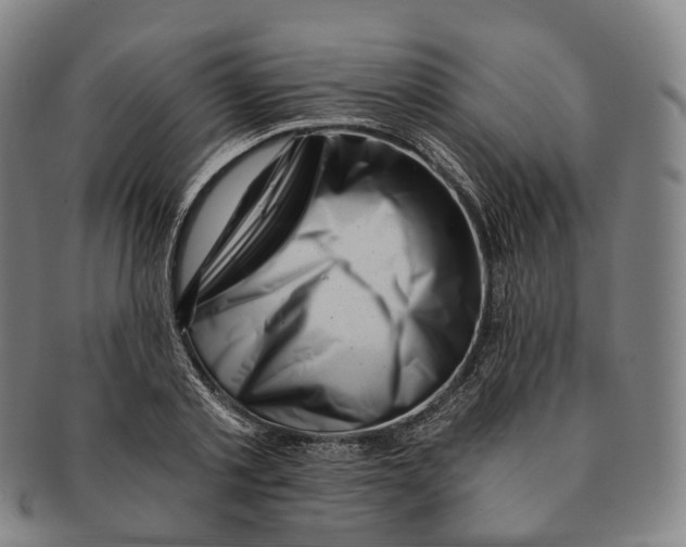 X0000091000789200708301334