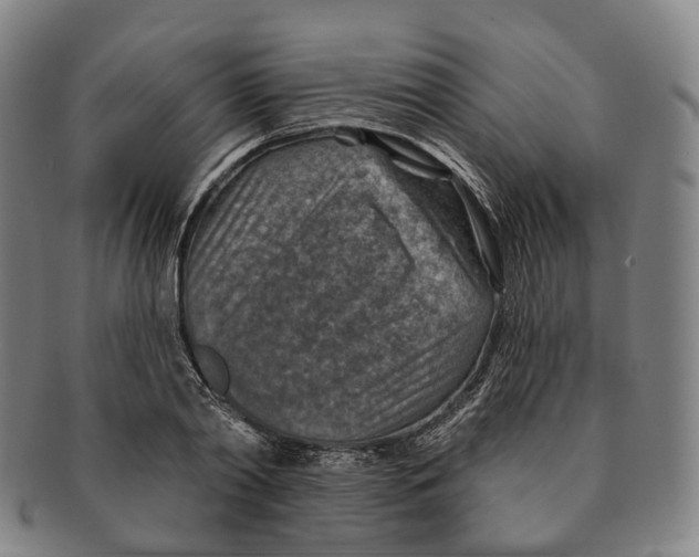 X0000091000790200708301334