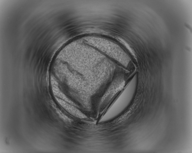 X0000091000791200708301334
