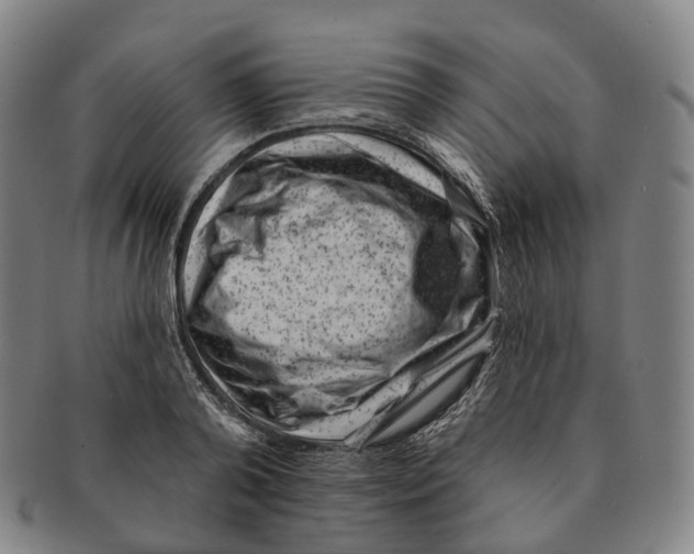X0000091000792200708301334