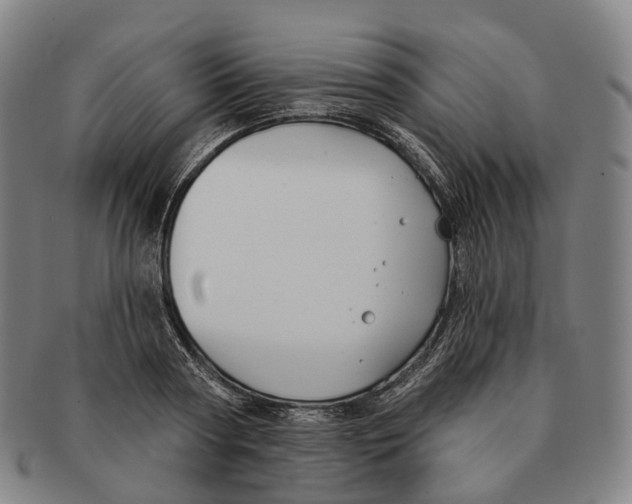 X0000091000794200708301334