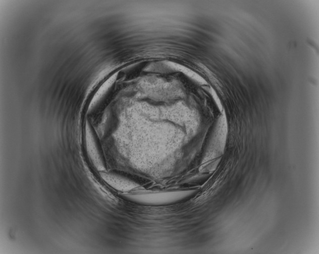 X0000091000795200708301334