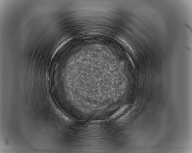X0000091000798200708301333