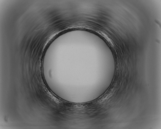 X0000091000799200708301333