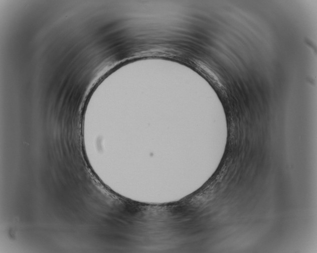 X0000091000800200708301333
