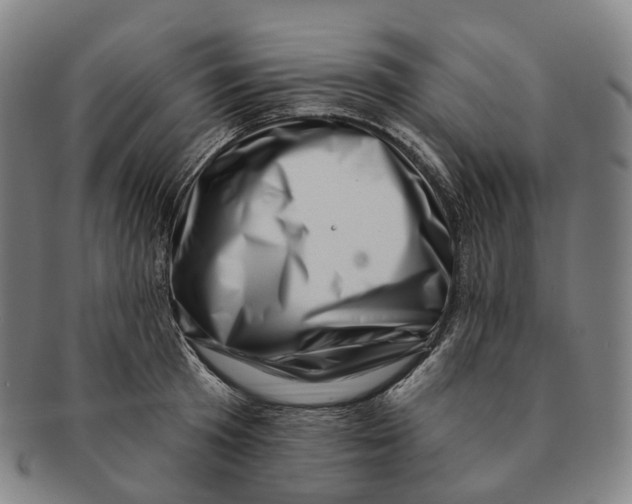 X0000091000801200708301333