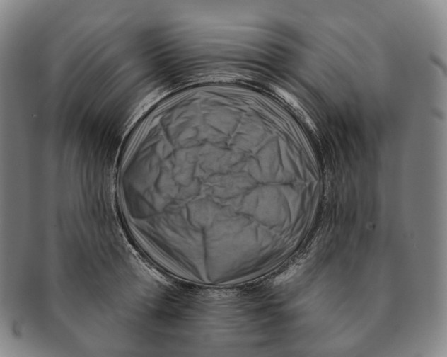 X0000091000802200708301333