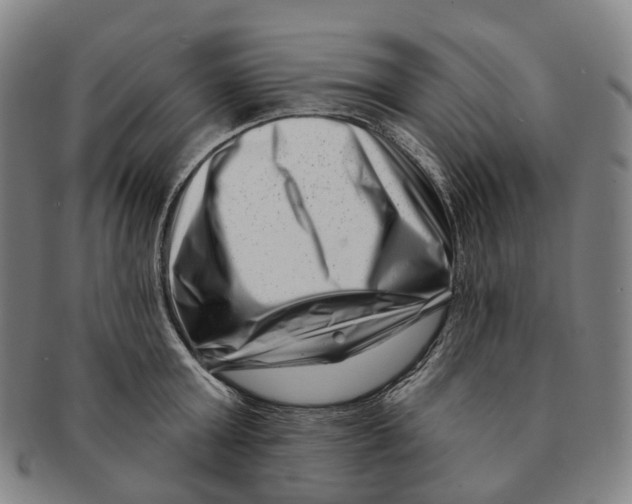X0000091000803200708301333